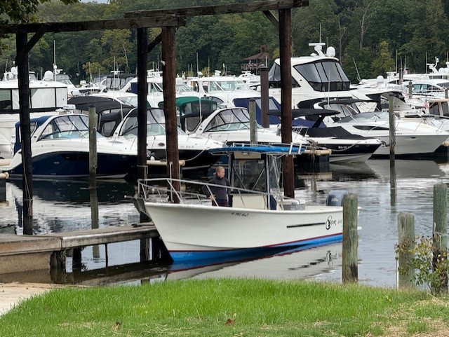 Marina Docked